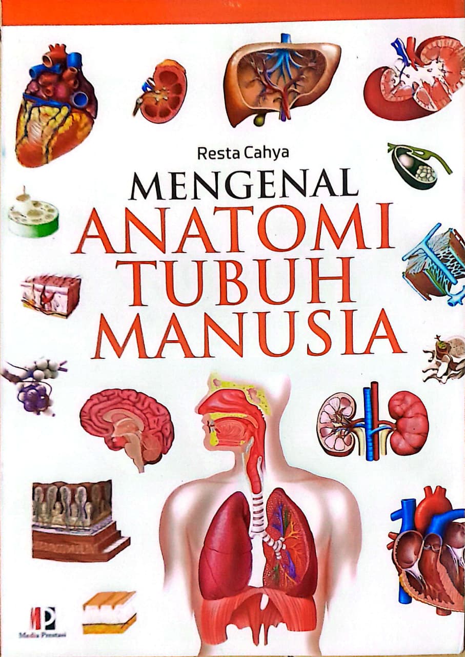 Mengenal Anatomi Tubuh Manusia